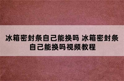 冰箱密封条自己能换吗 冰箱密封条自己能换吗视频教程